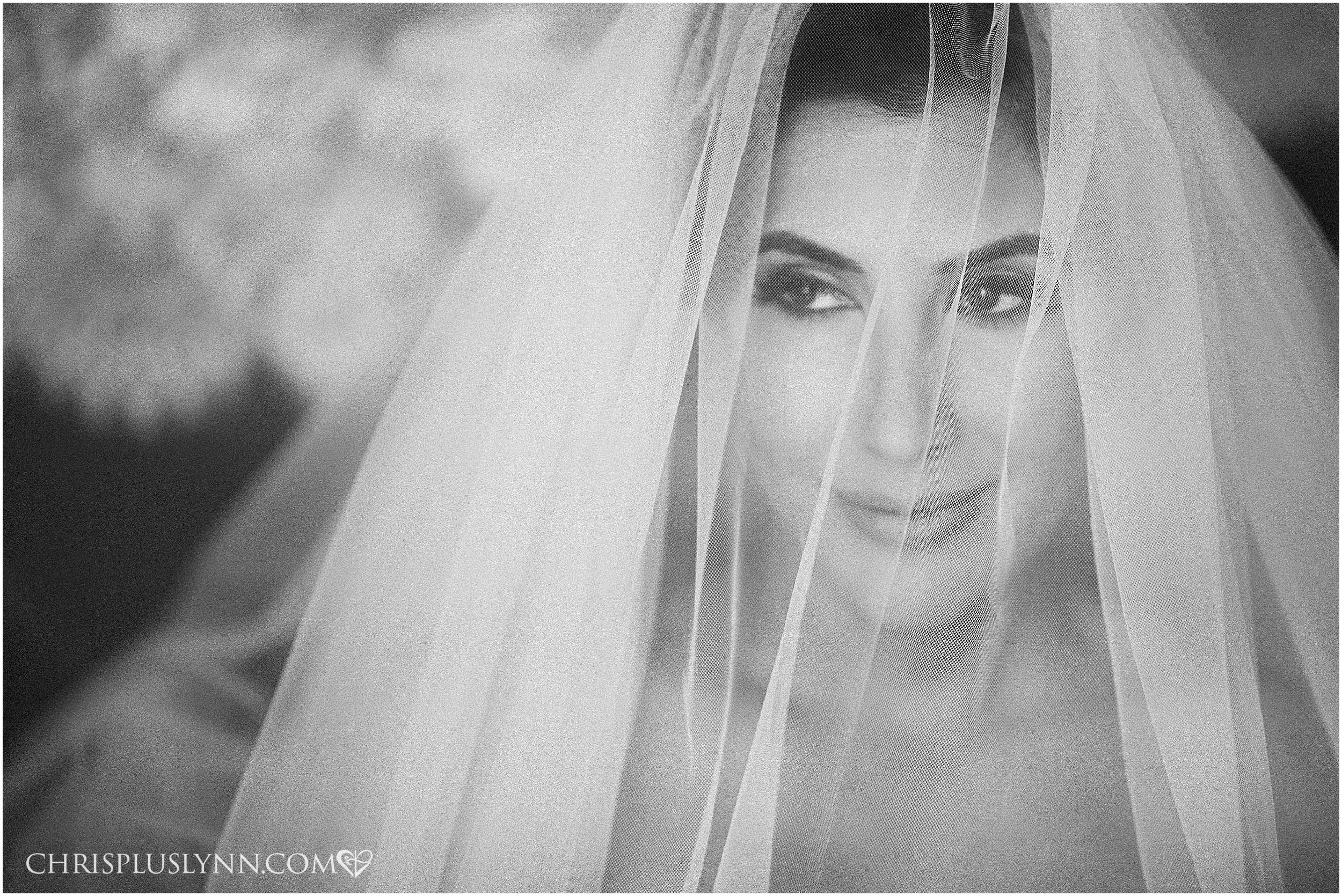 Cabo del Sol Wedding | Bridal Portrait